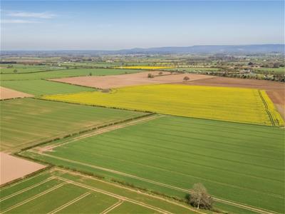 Click to view more details